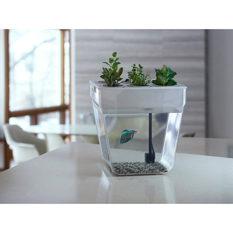 gallery-img
